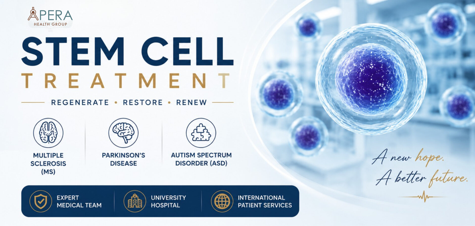 Stemcellweb1
